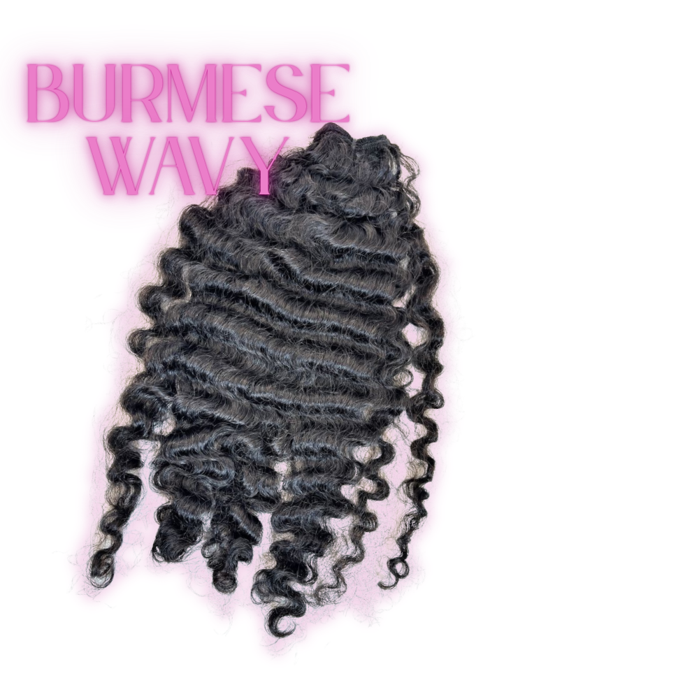 Burmese Curly