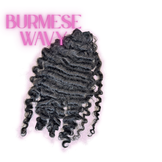 Burmese Curly